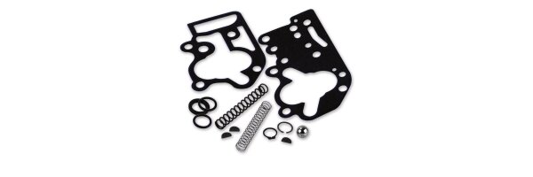 Ölpumpen-Dichtungen