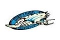 Dirty Bird Concepts