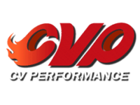 CV PERFORMANCE