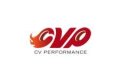 CV PERFORMANCE