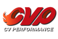 CV PERFORMANCE