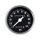 FX Speedometer. MPH 2:1 ratio. Early style face