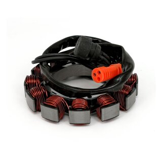 Alternator stator unmolded