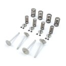 Manley, Race Master valve kit. .550" - .650"...