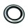 Paint protector trim ring, fuel tank