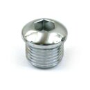 Gardner-Westcott, timing plug. Buttonhead, chrome