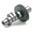 Andrews, 2 grind / .490" lift camshaft. (low CR)