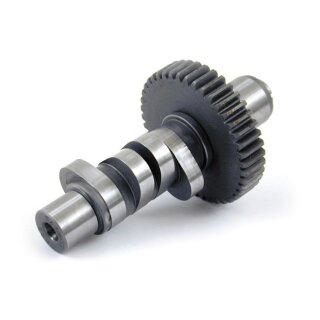 S&S, 600 cam for Evo Big Twin