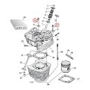 GW, 12-point head bolt kit. Chrome