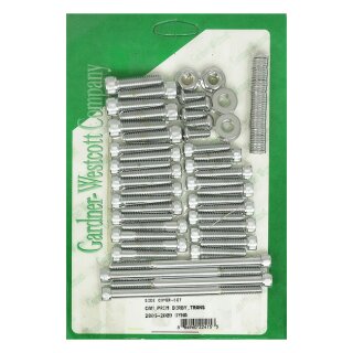 Motor Seitendeckel Montage Schrauben Kit chrom für Harley Dyna 06-17