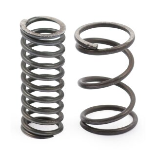 REPL. SPRING SET, M-6 CHAIN TENSIONER