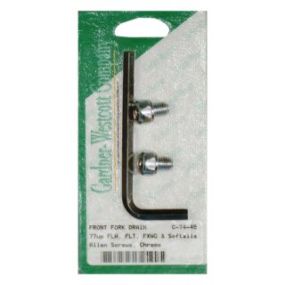 GW FORK SLIDER DRAIN SCREWS, ALLEN