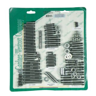 GW MOTOR SCREW SET, POLISHED SS ALLEN