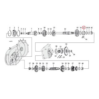 JIMS, BEARING RACE MAINSHAFT. STD