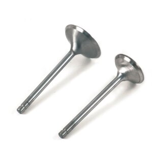 S&S, SuperStock intake valve, 2.00" diameter