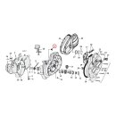 Colony, oversize timing/drain plug & tap kit. Acorn