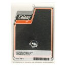 Colony, oversize timing/drain plug. Acorn