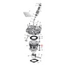 COLONY CYL BASE NUT KIT