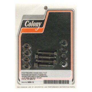 Colony, rider floorboard hinge bolt mount kit. Hex