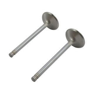 Manley, Severe Duty stainless valves, exhaust. STD