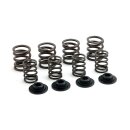 Manley, valve spring kit. Std to .490" lift