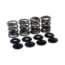 Manley, valve spring kit. Stock to .495" lift