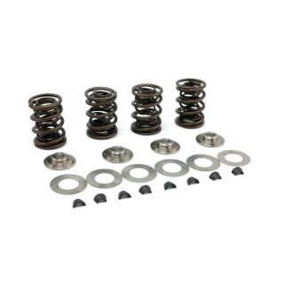 Manley, high lift valve spring kit. .500" to .650" lift