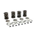 Manley, high lift valve spring kit. .500" to...