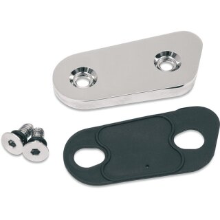 Primary chain inspection cover. Chrome