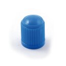 VALVE STEM CAP 23
