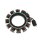 Accel Lichtmaschinen Stator Alternator unvergossen für Harley Big Twin 76-80