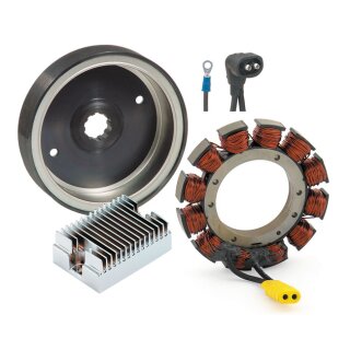 ACCEL Rotor/Stator/Regulator charge kit