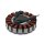 Accel Lichtmaschinenstator 40A 3 Phasen unvergossen für Harley Softail, Dyna 2007
