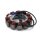 Accel Lichtmaschinen Stator Alternator für Harley FLHR FLT Touring 99-01 38A