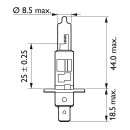 Philips LongLife Ecovision headlamp bulb H1