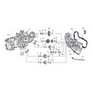 LOCK PLATE, CAM GEAR