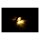OCHSEN AUGEN, TURNSIGNALS