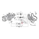 JIMS, camshaft bushing, outer. STD