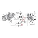JIMS, camshaft bushing, outer. STD