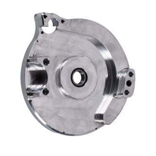 BDL REPL MOTOR PLATE