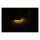 Custom Dynamics EclipzeÂ® LED fork wrap around turn signal