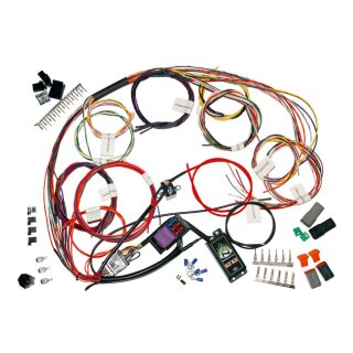 HARLEY CUSTOM NAMZ COMPLETE BIKE HARNESS