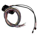 NAMZ Can Bus Controller für Custom Lenkerarmaturen...