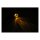 LED Blinker Micro Bullet Turn Signal Paar schwarz EC-gepr.