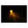 MICRO BULLET LED TURN SIGNALS, CHROME