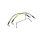 Goodridge brake line front, stainless clear coated
