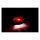 NY OVAL TAILLIGHT