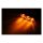 Shorty 2 LED turn signals, smoke lens