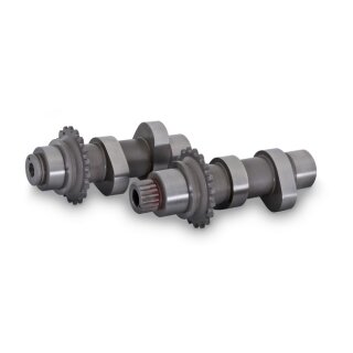 V&H HIGH PERF. CAMSHAFT SET
