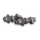 V&H HIGH PERF. CAMSHAFT SET